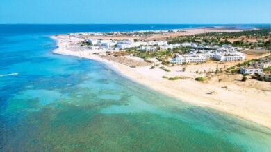 Retour du marché belge dans la zone Djerba-Zarzis