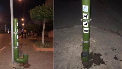 El-Mourouj-distributeurs-deau-pour-les-chats-et-les-chiens-errants