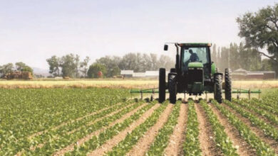 agriculture