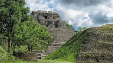 Les vestiges d’une ancienne civilisation découverts en Amazonie