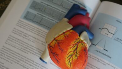 un médicament pour soigner l’insuffisance cardiaque ?